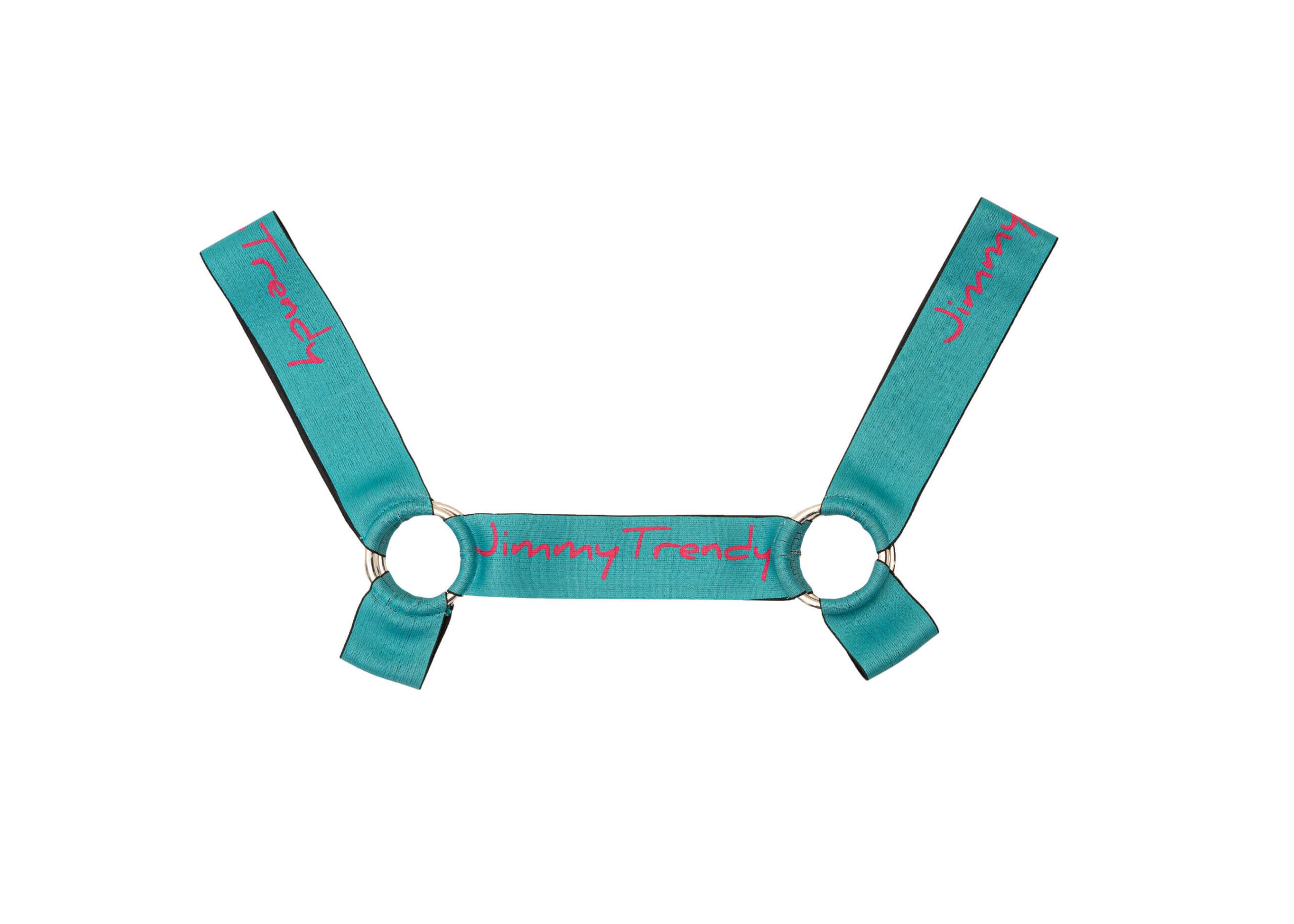 Harness Turquoise Flower